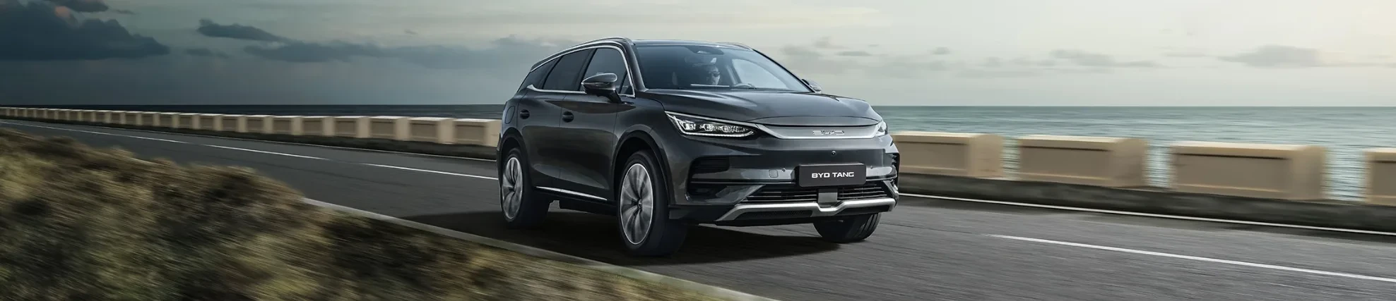 Offerte 抖圈 Tang senza rate mensili